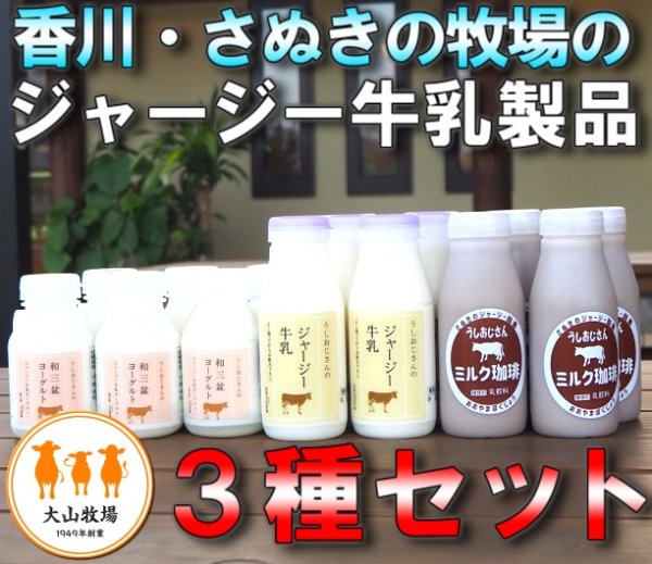 画像1: 【冷蔵】ジャージー牛乳からつくる牛乳・ミルク珈琲・ヨーグルトのギフトセット〜しろつめくさ〜 (1)