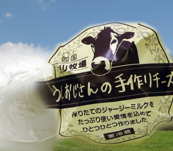画像1: 【冷蔵】モッツァレラチーズ (1)